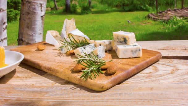 Camera movement along the rustic table with honey, cheese and nuts on the background of birch trees — Stock Video