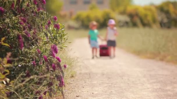 Klein meisje en jongen hand in hand, gaan over op de weg met een zaak — Stockvideo