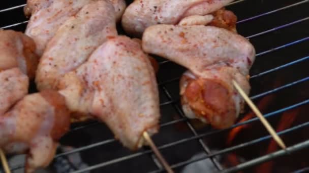 Grillrooster met heerlijke kippenvleugels wordt op het open vuur geplaatst — Stockvideo