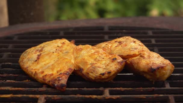 Filete de pollo está asando en la rejilla de la parrilla al aire libre — Vídeos de Stock