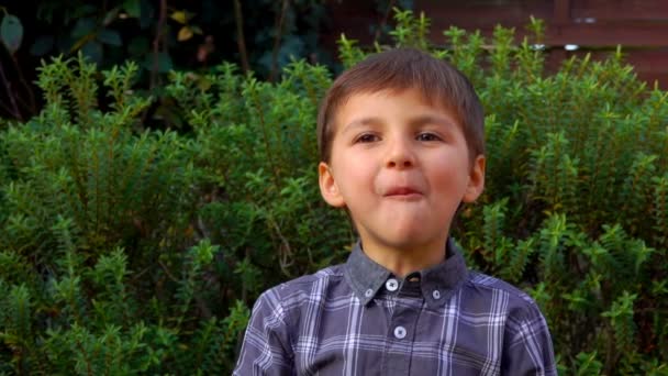A cute little boy in a plaid shirt eats a french almond biscuit cookie macaroon — Stock Video