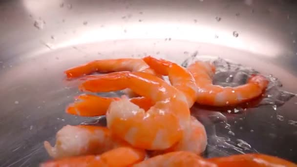 Close-up of delicious peeled shrimps falling on the heated olive oil — Stock Video