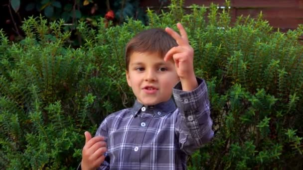 O menino adorável em uma camisa xadrez está contando com os dedos ao ar livre — Vídeo de Stock