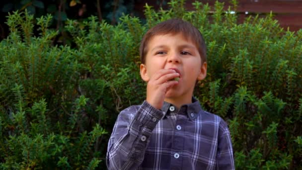 Wesoły chłopiec zjada tradycyjne francuskie ciasteczka migdałowe makaron ciasteczka na świeżym powietrzu — Wideo stockowe