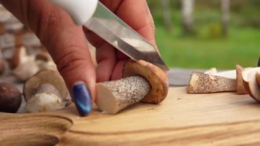 Ahşap tahtada orman mantarı kesen kadınların ellerini kapatın.