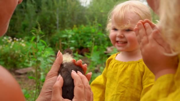 Roztomilé holčičky hladí kachničku v náručí matek — Stock video