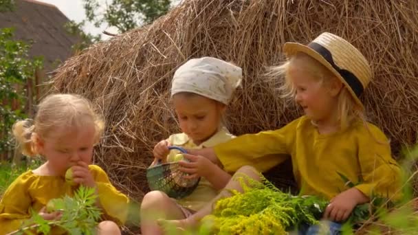 Drei kleine Mädchen essen grüne Äpfel aus dem Korb auf einem Heuhaufen — Stockvideo