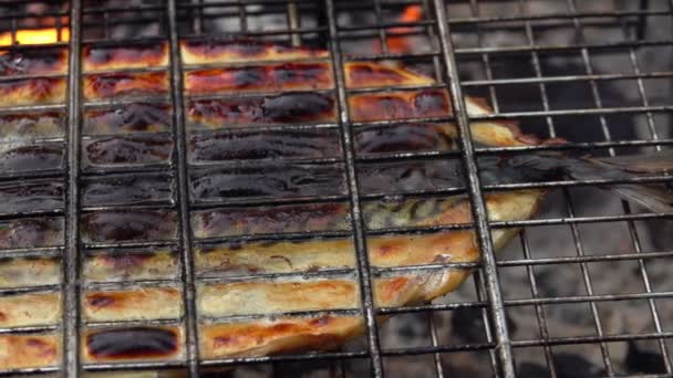 Uskumru fileto balığının yakın plan çekimi ızgarada ateşte kızartılıyor. — Stok video
