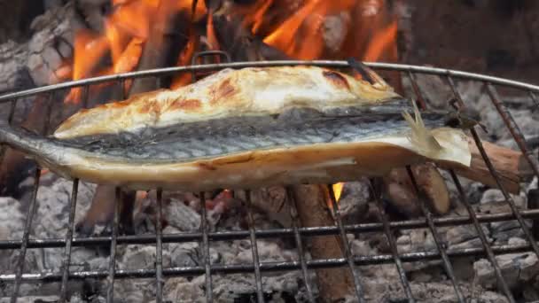 Filé de peixe de cavala é virado com pinças de cozinha na grade de grade — Vídeo de Stock