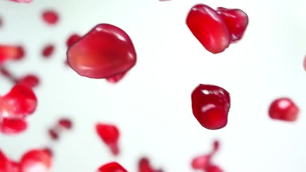 Granos rojos y jugosos de granada madura rebotan sobre el fondo blanco — Vídeos de Stock