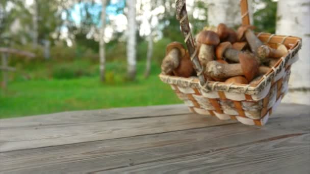 Uma cesta de bétula cheia de cogumelos recém-colhidos caindo em uma superfície de madeira — Vídeo de Stock