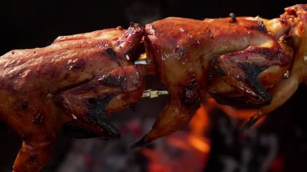 Super primer plano panorama de deliciosas codornices a la parrilla en los pinchos — Vídeos de Stock