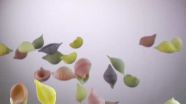 Suché barevné těstoviny Conchiglie rigate létání na bílém pozadí — Stock video