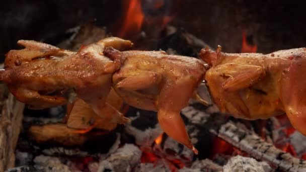 Deliciosos cadáveres de codorniz marinados se fríen en el pincho en el fuego abierto — Vídeo de stock