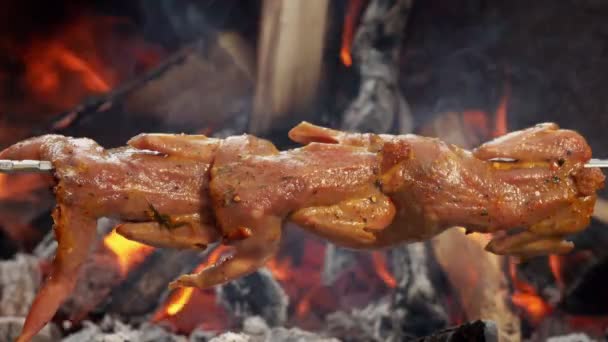 Delicious marinated quail carcasses are rotating on the skewer — Stock Video