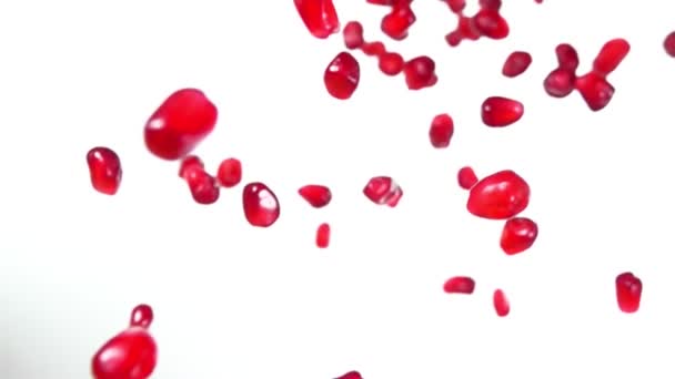 Red fresh juicy grains of ripe pomegranate are bouncing on the white background — Stock Video