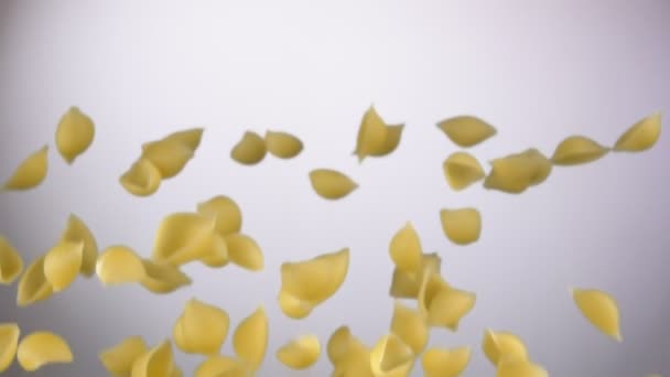 Droge pasta Conchiglie rigate vliegen op een witte achtergrond — Stockvideo