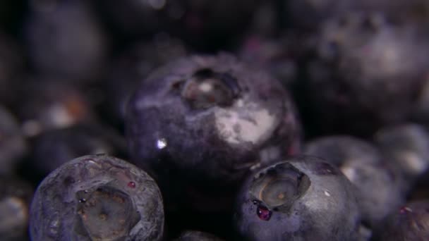 Super-Nahaufnahme von Safttropfen, die auf die großen Blaubeeren fallen — Stockvideo