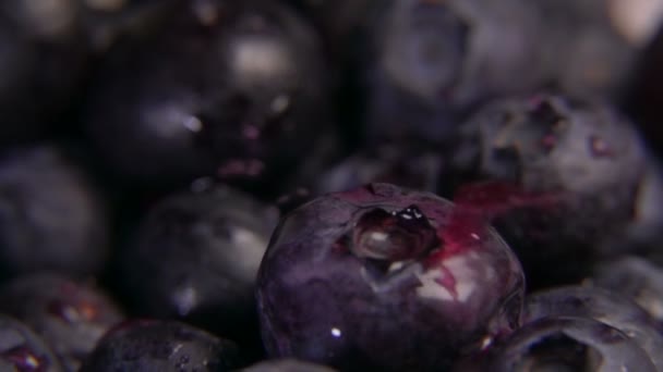 Närbild av saft droppar faller på de stora läckra blåbär — Stockvideo