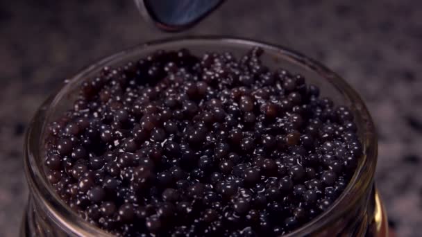Super gros plan de caviar noir pris dans le bocal en verre — Video