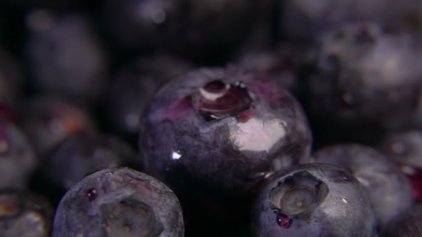 Szuper közeli kép a gyümölcslé cseppek esik a nagy friss áfonya — Stock videók