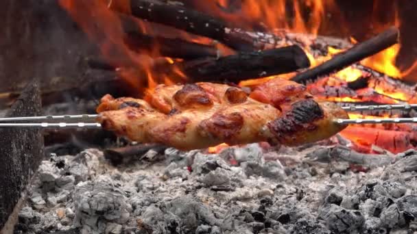 Kuřecí křidélka na špejlkách se převracejí nad otevřeným ohněm. — Stock video