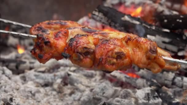 Delicious marinated chicken wings on the skewers are rotating above the fire — Stock Video