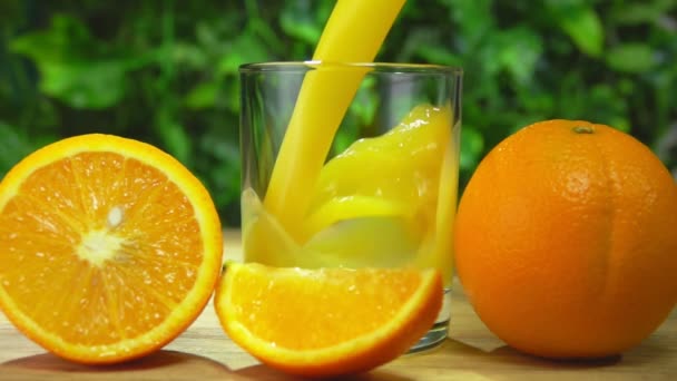El jugo de naranja recién exprimido se vierte en un vaso sobre el fondo de la vegetación — Vídeo de stock