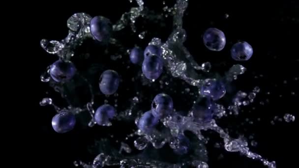 Stora blåbär flyger upp med stänk av vattnet på svart bakgrund — Stockvideo