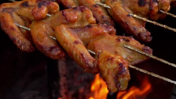 Close-up of marinated chicken wings on the skewers frying above the open fire — Vídeo de Stock