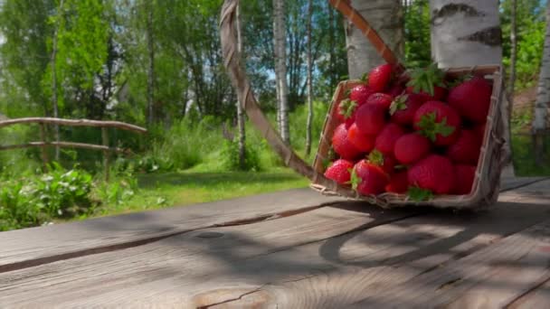 커다란 달콤 한 딸기가 가득 들어 있는 자작나무 바구니가 나무 위에 떨어지고 있다 — 비디오