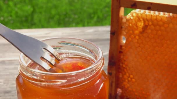 Fork with a fresh strawberry is dipped into sweet honey on the glass jar — Stock Video