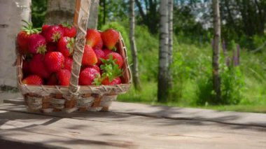 Güneşli yaz gününde çilekli sepet masaya düşüyor.