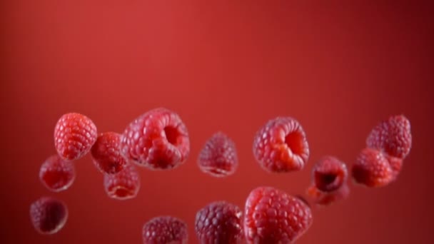 Framboesas estão voando para cima e girando no ar em um fundo vermelho vinho — Vídeo de Stock