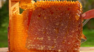 Balpeteğinin büyük bir parçası ahşap çerçeveden alınır.