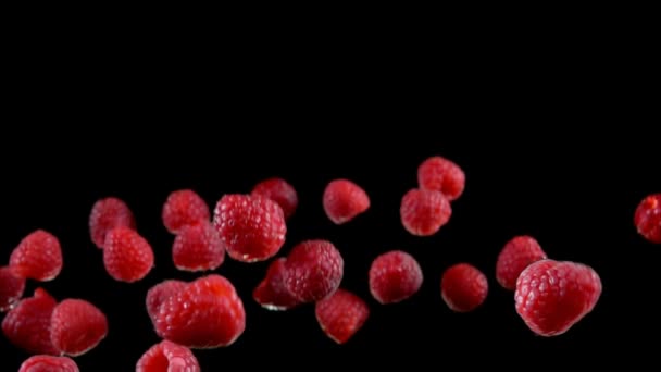 Rijp heerlijke frambozen draaien in de lucht op een zwarte achtergrond — Stockvideo