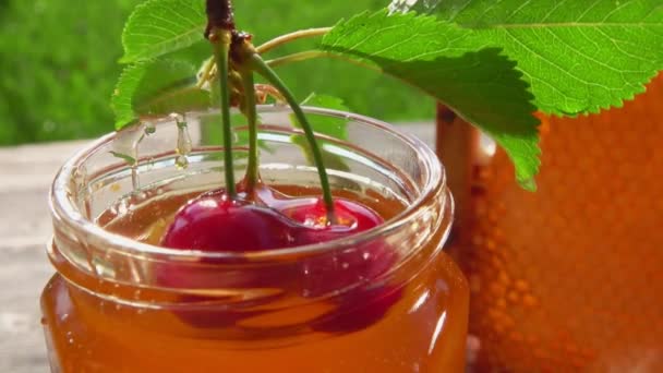 Η κερασιά είναι βουτηγμένη στο μέλι στο βάζο στο βάθος των κηρήθρων — Αρχείο Βίντεο