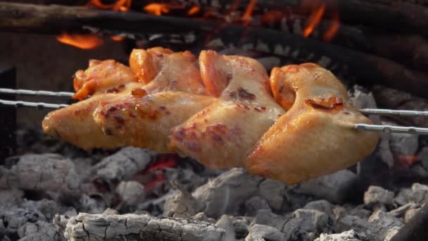 Крупный план аппетитных куриных крылышек на шашлыках, жарящихся над открытым камином — стоковое видео