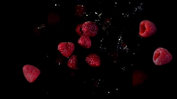 熟したラズベリーのトップビューは、水の滴で空中で跳ねる — ストック動画