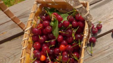 Tahta masadaki kırmızı kirazlarla dolu sepetin manzarası.