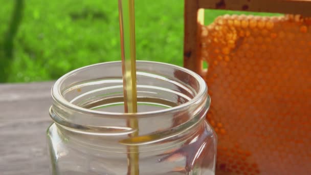 Färsk honung flödar in i glasburken på bakgrunden av honungskakorna — Stockvideo