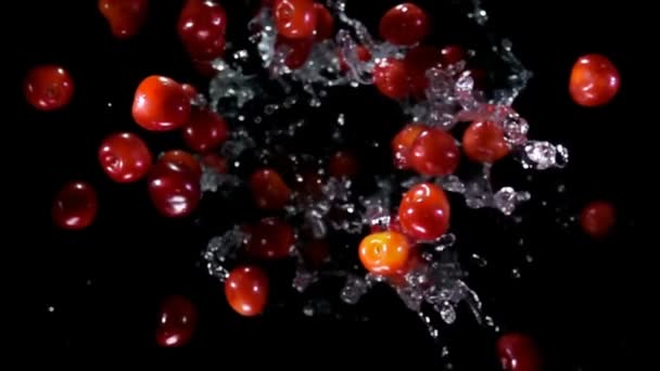 Vue de dessus des cerises rebondissant avec des éclaboussures d'eau sur fond noir — Video