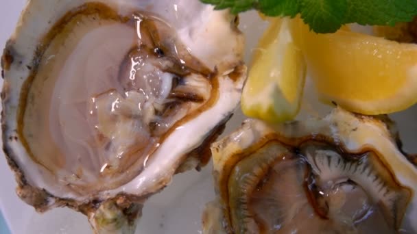 Super close-up van de witte plaat met verse open heerlijke oesters — Stockvideo