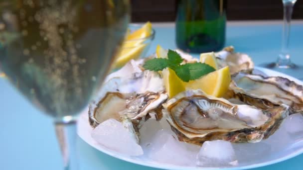 Panorama del plato blanco lleno de ostras frescas abiertas deliciosas — Vídeo de stock