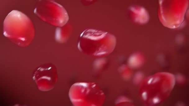 ザクロの赤ジューシーな穀物の超クローズアップは、赤の背景にバウンス — ストック動画