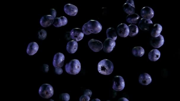 Stora blåbär studsar och roterar på svart bakgrund — Stockvideo