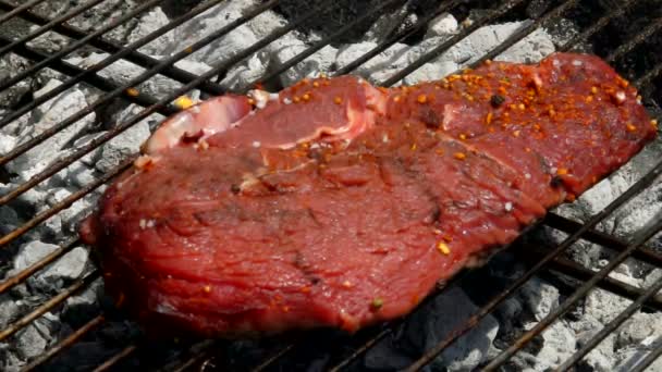 Papryka i przyprawy spadają na surowy soczysty stek na ruszcie grillowym — Wideo stockowe
