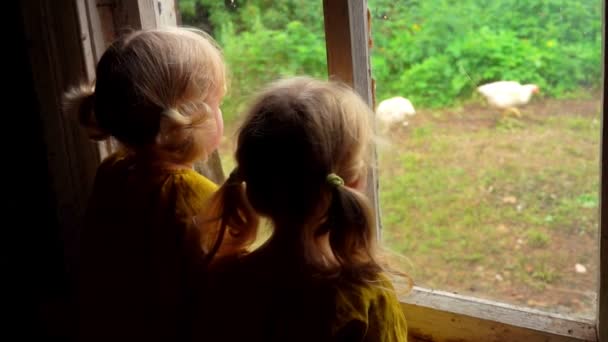 Вид ззаду на двох блондинок, які дивляться домашні птахи з вікна — стокове відео