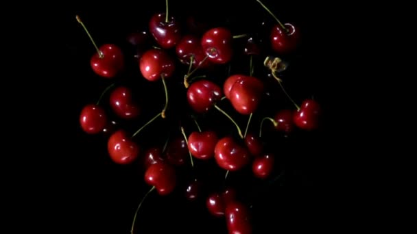 Ovanifrån av saftiga röda körsbär studsar upp på en svart bakgrund — Stockvideo