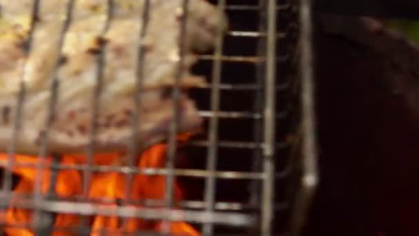 Close-up de deliciosos peixes de cavala branca colocados na grelha churrasqueira — Vídeo de Stock
